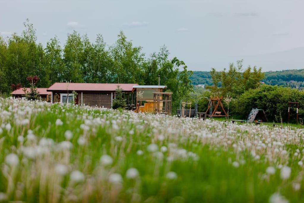 Domki Na Gorniej Lace - Domek Slowik Lazany Kültér fotó