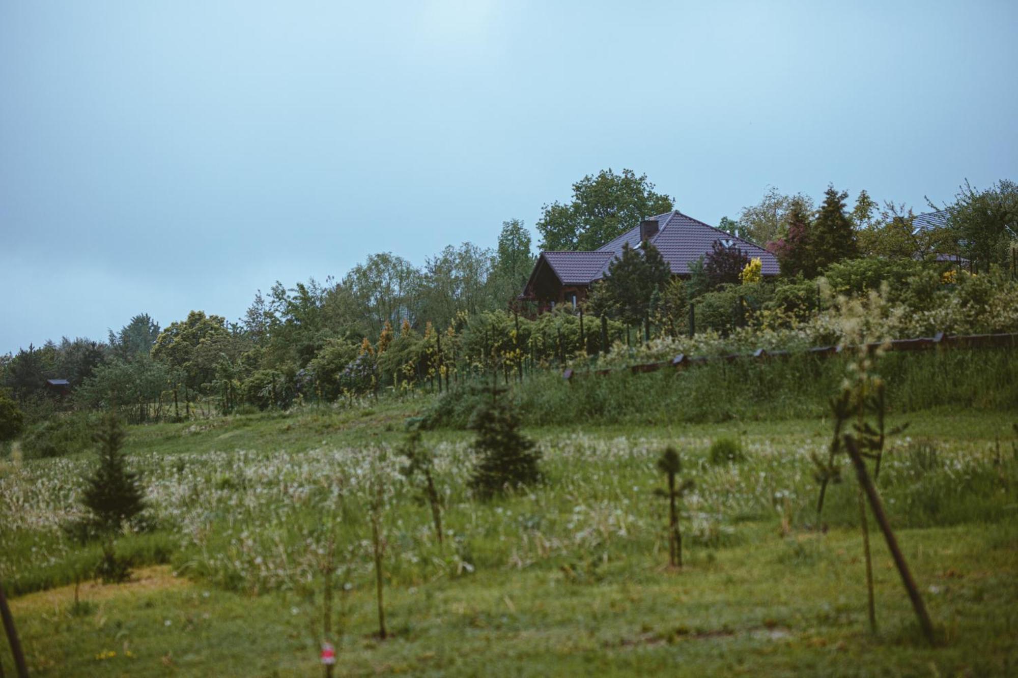 Domki Na Gorniej Lace - Domek Slowik Lazany Kültér fotó